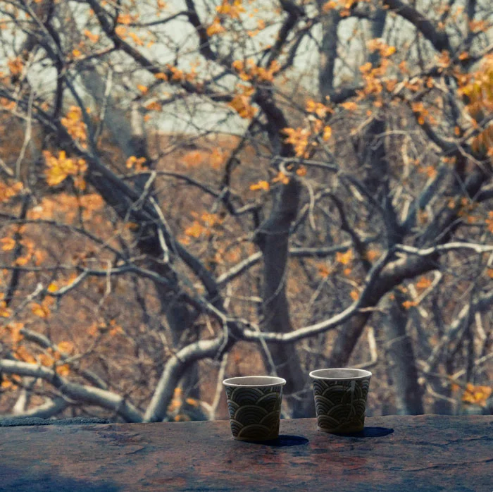 Mukul Raut Photography - Solo Side