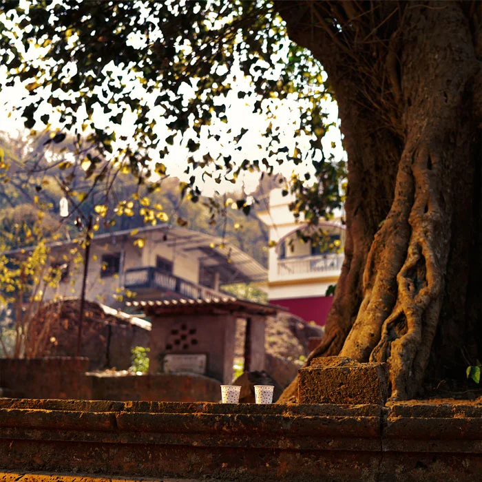 Mukul Raut Photography - Solo Side