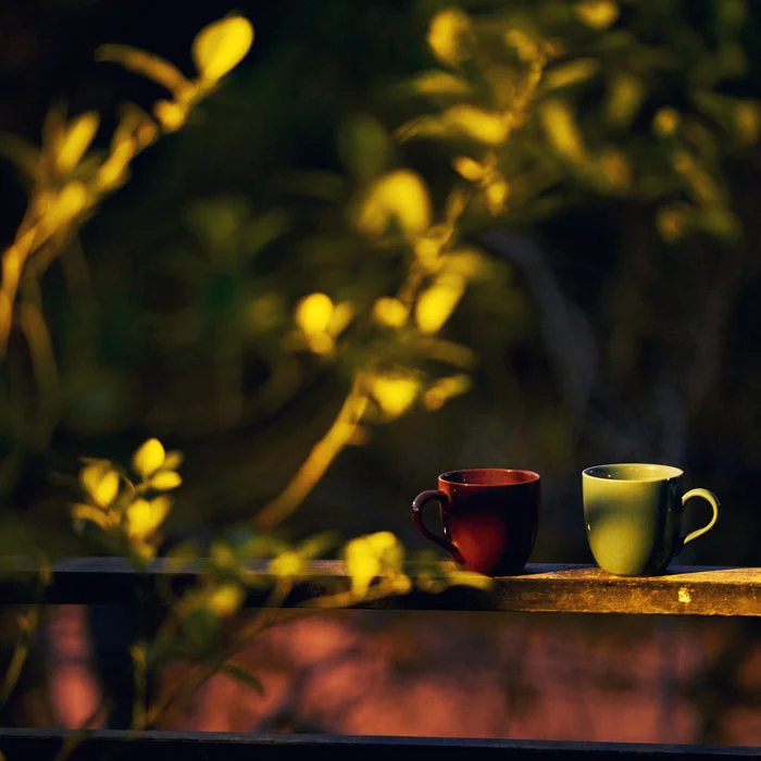 Mukul Raut Photography - Solo Side