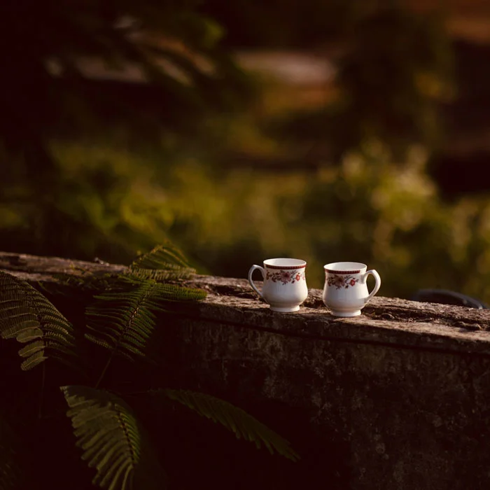 Mukul Raut Photography - Solo Side