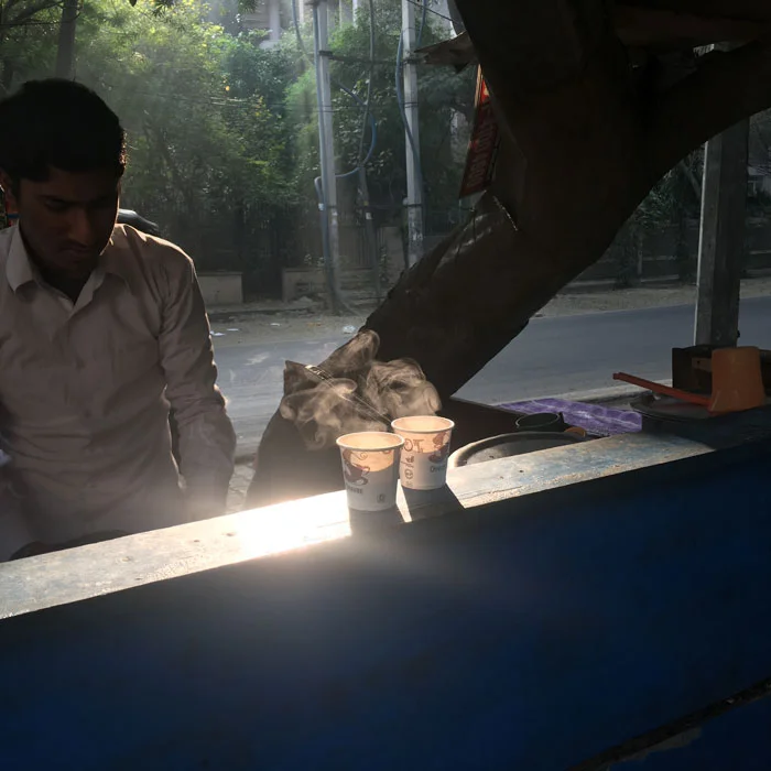 Mukul Raut Photography - Solo Side
