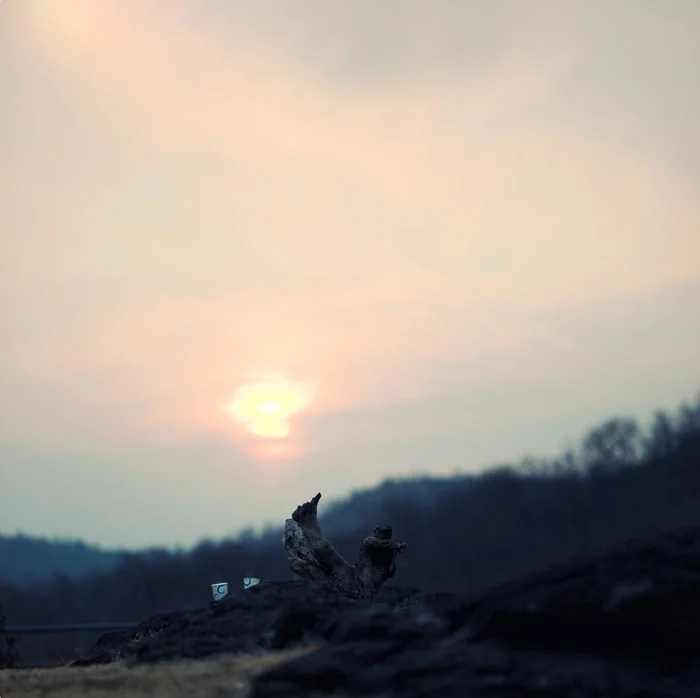 Mukul Raut Photography - Solo Side